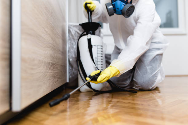 Best Affordable Exterminators  in Warrensburg, MO