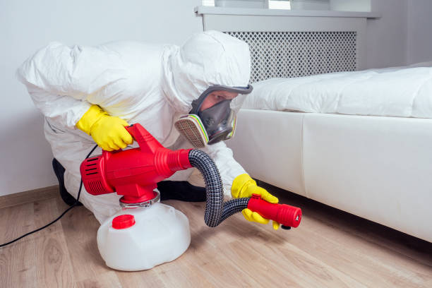 Best Bed Bug Extermination  in Warrensburg, MO