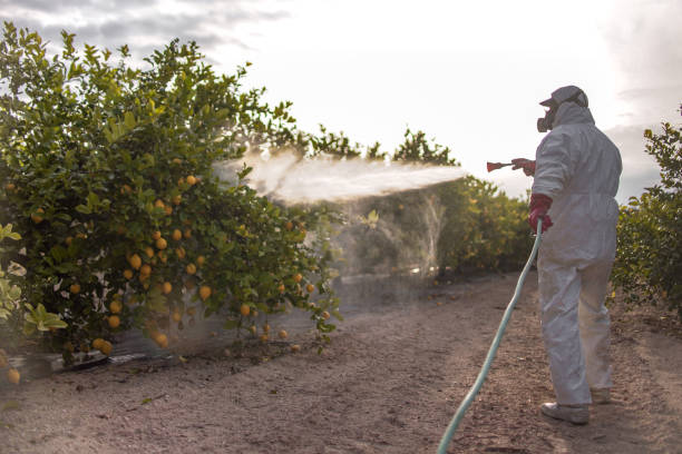 Best Pest Control for Businesses  in Warrensburg, MO