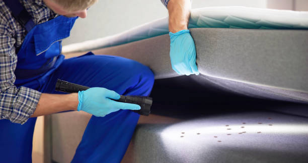 Best Emergency Pest Control  in Warrensburg, MO