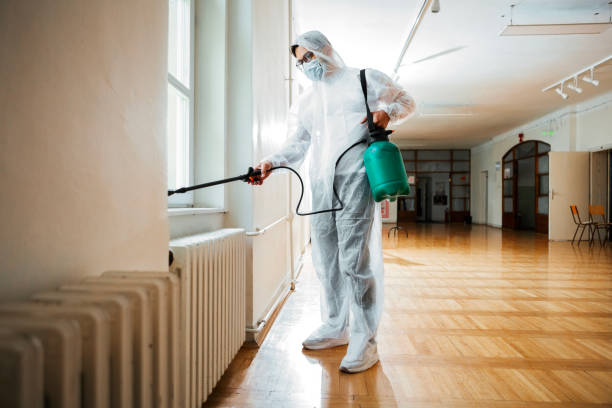 Wasp Removal Services in Warrensburg, MO