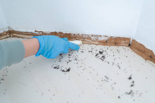 Warrensburg, MO Pest Control Company