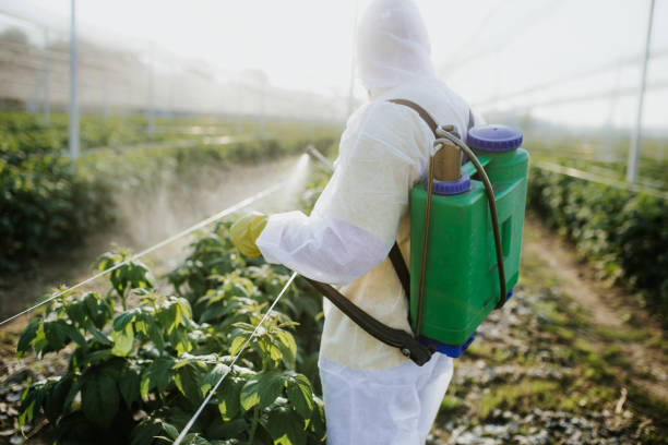 Best Pest Inspection Near Me  in Warrensburg, MO